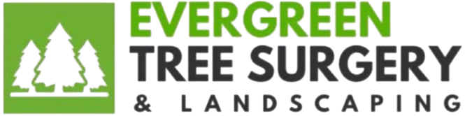 Evergreen Tree Surgery & Landscaping Ltd